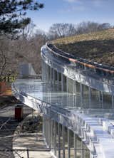 Brooklyn Botanic Gardens Visitor Center, Location: Brooklyn NY, Architect: Weiss Manfredi Architects  Photo 5 of 11 in Brooklyn Botanic's New 'Do by Kelsey Keith
