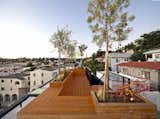 Home and Studio Maximizes Very Narrow Site in Echo Park - Photo 9 of 9 - 
