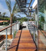 Green Home in La Jolla Blends Indoors and Outdoors - Photo 6 of 7 - 