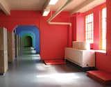 Using Color for Good: Q&A with Designer Ruth Lande Shuman