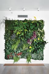 Living Green Walls 101: Their Benefits and How They’re Made - Photo 1 of 9 - 