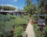 The house becomes part of Burton's landscape scheme.  Search “neutra-box.html” from A Neutra Renovation in Los Angeles
