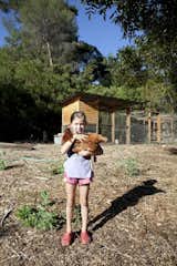 Ingrid shows off one of the chickens the family raises in their large and very productive coop.  Search “modern chicken coop” from L-Shaped Indoor-Outdoor LA Home