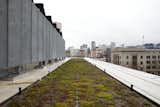 A living roof is among the project's many green features.