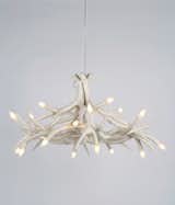 David Alhadeff: My own take is trying to consider work that has a democratic appeal to it or defines something in the period we're living in. Jason Miller's Antler Chandelier for Roll &amp; Hill: If there is and or was a moment called &quot;Brooklyn design,&quot; this piece is the best example of it.