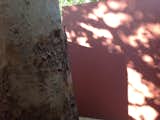 The bark of the tree next to the shifting shadows and light on Siza’s beautiful mauve stucco offers a refreshing experience after the information dense exhibition.