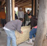 It was a community affair getting all the straw bales into place. Anni Tilt referred to it as a "bale raising" in the Amish mode of a barn raising. Tershy echoed the sentiment, recounting how friends, neighbors, and the Arkin Tilt team all pitched in to get the 150 bales into place. Here we see Tershy and Zavaleta manhandling what would soon become insulation. Photo courtesy of Arkin Tilt Architects.