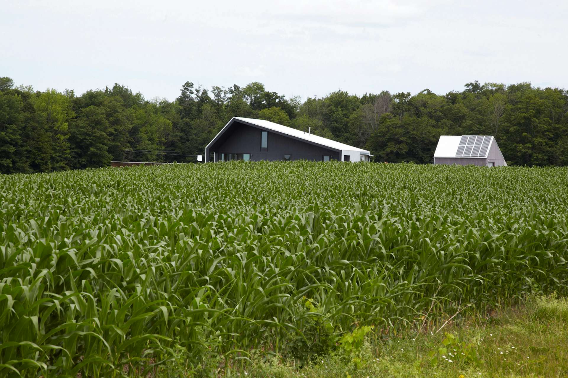 Photo 15 of 16 in A Sustainably Built Home in Rural Ontario Dwell