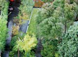  Photo 2 of 7 in Groundbreaking Landscape Designs by Luke Hopping from Backyard Marsh in San Francisco