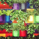 Kul's vertical gardening system made from recycled plastic was really eye catching. We loved the colorful array of planters, which really brightened the show floor.