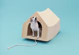 muji birch wood dog house