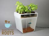 Aquaponics is up for funding on Kickstarter until December 15. If successfully funded, the tanks will reach consumers in February 2013. If you'd like to donate and be one of the first people to receive a tank, click here.