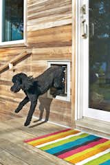 Emergency Exit: A poodle-size dog door is a must for Max, who, as his owner reports, loves the lake house. Blake has also been known to eschew the sliding glass doors in favor of the smaller exit point.