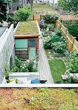 The backyard sports a sequence of raised flower and vegetable beds and two green roofs—one atop the workshop and other atop the back entrance.