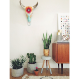 Photo of the Week: Cactus Love Story