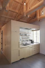 All kitchen appliances are by Miele, save for a Liebherr refrigerator, concealed by eco-wood cladding. The bathroom is visible at the back corner of the service cube.