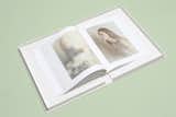 Gillis also designed Anthea O'Brien's photo book.