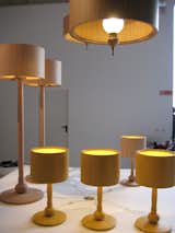 Moooi’s tree lamps are new for 2009, and will be in stock from May.