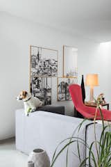 Ibbel, a Parson Russell terrier, and his tennis ball survey the living room from the back of a Cuba sofa by Rodolfo Dordoni for Cappellini. The framed drawings are by Poorter and Holdrinet.