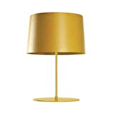 This thin stick of a table lamp, standing trim on its fiberglass base, comes in four colors for every fashionista—and its innovative, reflective light "diffuser" spreads a warm glow throughout the room. A supermodel for future lamp design. Read more about the Twiggy Table Lamp here.