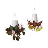 These ceramic planters hang from the ceiling, so there's no need to take up precious counter space. Click  here for more information on these upside down planters.