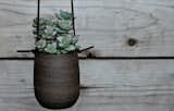 You Can Put Them in a Ball-Made by hand of black mountain clay and porcelain, young company PUTIKMADE uses organic plant shapes to inform the design of their pots and planters. Move fast though, their webshop runs out quickly.  Photo 1 of 5 in Succulents 5 Ways by Olivia Martin