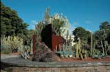 You Can Put Them Anywhere-Sydney's Royal Botanic Gardens, a 74-acre park in the middle of the city, stretches from the harbor to Hyde Park and features countless gardens within the Gardens, such as Succulent Garden, shown here. Australian landscape designer Jamie Durie created this sculptural planter, the centerpiece of the Succulent Garden, using recycled material from 5,500 baked bean cans. Photo by: Miyoko Ohtake