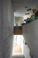 Super Minimal Steel and Concrete Villa with an Unusual Facade - Photo 8 of 10 - 