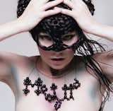 For the cover of Björk's 2004 album Medúlla, Augustyniak and Amzalag designed the artwork and invented the constellation-like typography. Inez van Lamsweerde & Vinoodh Matadin shot the songstress.