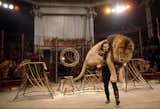 An animal trainer carries a 300-pound lion in Moscow, March 1966. Photo by Dean Conger, National Geographic.