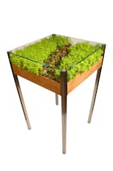 “The challenge was designing a piece that was not just a planter with glass on top, but a clean, functional, contemporary table that did not compromise any of the plant's necessities.  The final concept came to fruition after years of prototyping and plant trials” — David Brenner