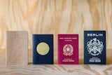 Some of the various smart passport promos Noah created.