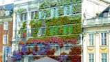 Living Green Walls 101: Their Benefits and How They’re Made - Photo 7 of 9 - 