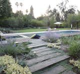 For a Los Angeles home, Aoyagi used an IdealMow lawn of native grasses, and Dymondia, Juncus, and Hummingbird Sage.