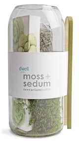 This Terrarium Kit from Potting Shed Creations has everything you need to create an indoor garden for your desk, windowsill, or kitchen counter. This version was exclusively created for the Dwell Store, and is a complete moss and sedum kit housed in a recycled wine bottle.  Search “Hanging-Terrarium-with-Tillandsia-Planting-Kit-.html” from Shop the Dwell Store's Dwell on Design Pop-Up