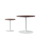 California

Round Pedestal tables by Ohio Design, $499–$549 ohiodesign.com