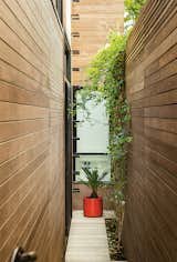 Inspired by her visits to Japan, architect Cary Bernstein did not build to the property lines but left open about three-and-a-half feet on each side of the house: “These little side gardens make rooms feel bigger, since they make nature part of your interiors and bring light and air circulation into the house,” she says.