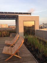 The roof is planted with native meadow grasses and features an impressive solar array.
