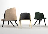 Mafalda Chairs from Moroso