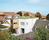 Exterior, Stucco Siding Material, Green Roof Material, Wood Siding Material, and House Building Type Purple thistles, California poppies, clover, and dandelions have all taken root in the roughly 10-inch-deep, lightweight humus and grape-husk soil in this 580-square-foot green roof. Designer Peter Liang says that he "wanted to plant a green roof for its thermal mass, but I wanted it to be as natural as possible."  Photos from A Two-Part Landscaping Renovation in San Francisco