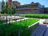 HM White Site Architects used the MiMA roof terraces to link interior amenity spaces and create green respites in the middle of Times Square. Green roof technology, thermal battery protection, storm water absorption and drought tolerant native plants helped the project earn Gold LEED certification. Photo courtesy of HM White Site Architects.  Photo 8 of 19 in New York Landscape Architects Design Awards by Sara Carpenter