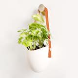 Bring the energy and freshness of nature into your home with designer Farrah Sit’s Hanging Planter. The possibilities with this versatile piece are vast: curate your own organic installation, grow an herb garden in your kitchen wall, store small inspirations above your desk. Each handmade porcelain planter is fastened to an amber leather strap that dangles delicately from a solid brass hook, echoing the marriage of the substantial and the delicate in the natural world.