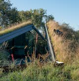 The green roof and yard at the Edgeland House is a mix of around a hundred different native grasses and plants.  Photo 3 of 7 in Photographer Q&A: Dave Mead