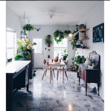 Photo of the Week: Plant-Filled Austin Dining Room