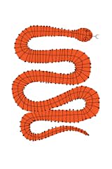 This Red Snake is defined by its detailed vertebrae and double S-shaped form.