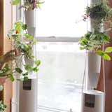 Windowfarms, $199-399—Watch your herbs and vegetables grow before your eyes with the space-efficient, organic, and easy to assemble Windowfarms system. Designed for common home windows, the Windowfarms will mount to sill or hang from typical plant hooks. No time to water your plants? No worries! A simple automated timer will quietly pump water when need be.
