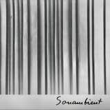  Search “Rough-Trade-Album-of-the-Month.html” from Designer Harry Bertoia's Unusual Sound-Making Sculptures
