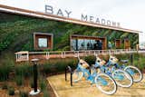 At 86 feet long, the vertical garden at Bay Meadow's Welcome Center is one of the largest in the Bay Area.