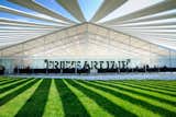 An exciting entry to a sea of art. Frieze New York, 2012. Photograph by Graham Carlow. Courtesy of Graham Carlow/Frieze.