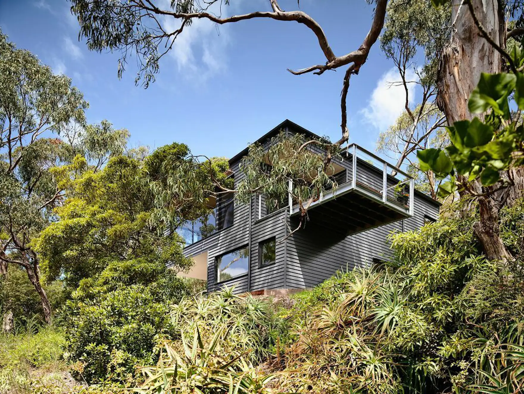 A Breezy Modern Beach House Sits Among the Trees in Australia - Dwell